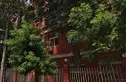 黄化门小区实景图