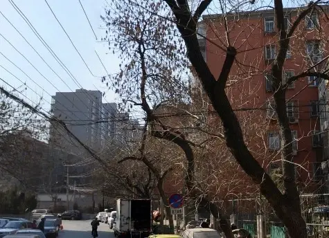 新德街37号院