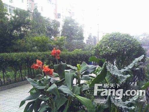 岭南路26号院实景图