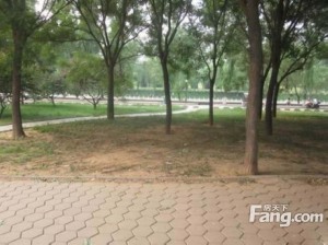 香山煤厂街27号院2室1厅南北