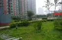 大羊坊10号实景图