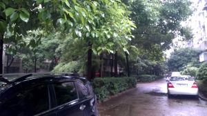 高桥 周正 三房 中间楼层 得房率高 带小区环境