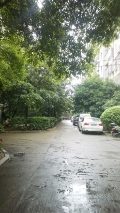 华隆大院实景图