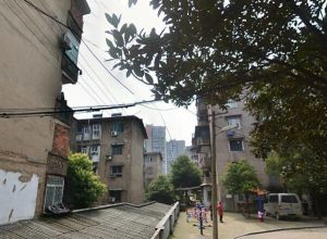 陡岭路7室3厅南北