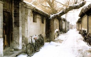 苇坑胡同2室1厅南