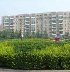 乔庄北街8号院三居,面积大,满五唯一,业主诚心出售