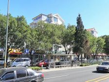 迎宾中路3室2厅南北
