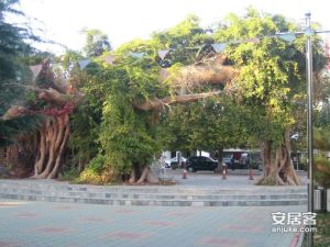 顺义其它·彩俸北区·2室·1厅