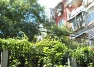 交大东路4号院2室1厅南北