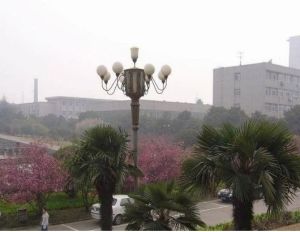 中国矿业大学校内2室1厅南北