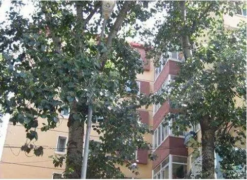 北洼路又一村实景图