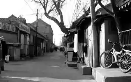实景图