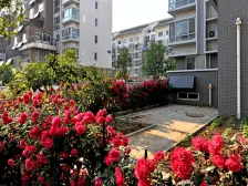 半岛蓝湾 1室1厅 南