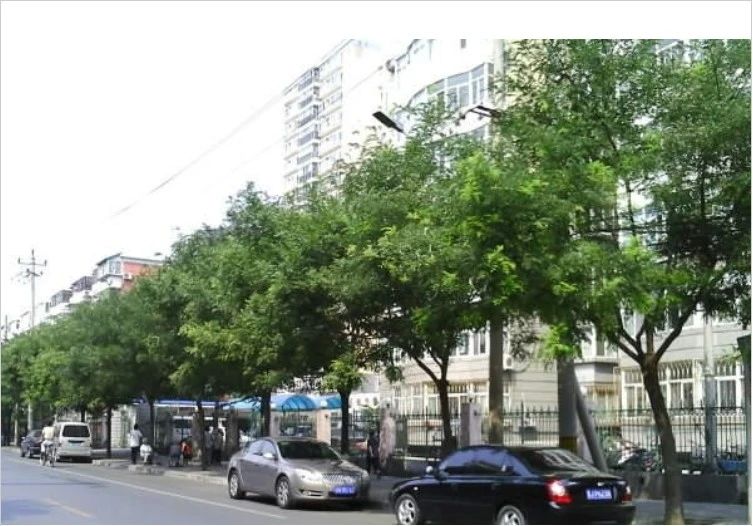 小区相关图
