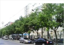 蒲安东里 2室1厅 北 南