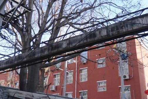 华严路3号院实景图