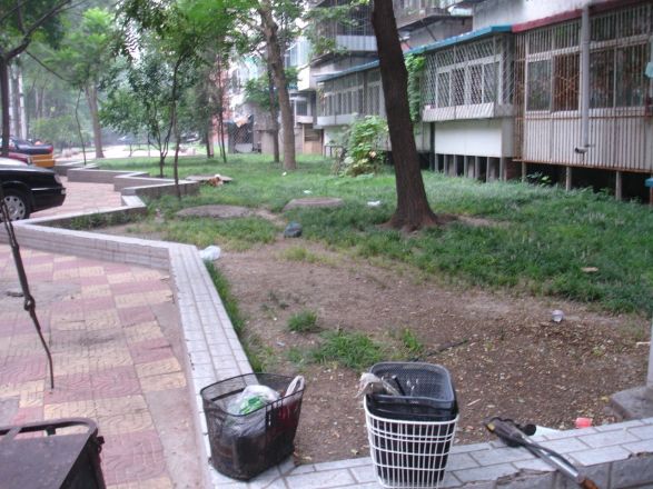 闹市口大街实景图