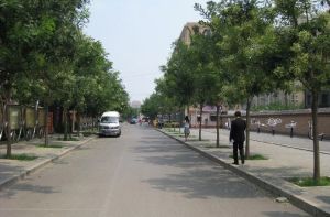 安静无遮挡,楼座位置好,南北通透2居户型好,出行方便