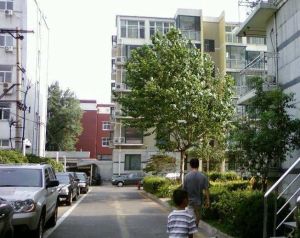 万寿路西街5号院1室1厅西
