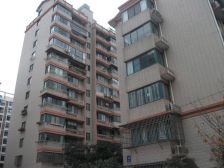 高楼层两居视野好满五唯一业主诚心卖户型方正