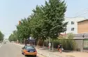 六所宿舍楼实景图
