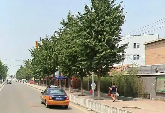 六所宿舍楼实景图
