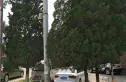 六所宿舍楼实景图