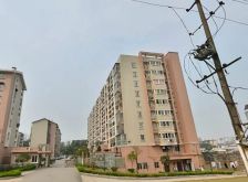 长房凤凰苑2室1厅南
