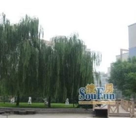 白纸坊街25号院2室1厅南