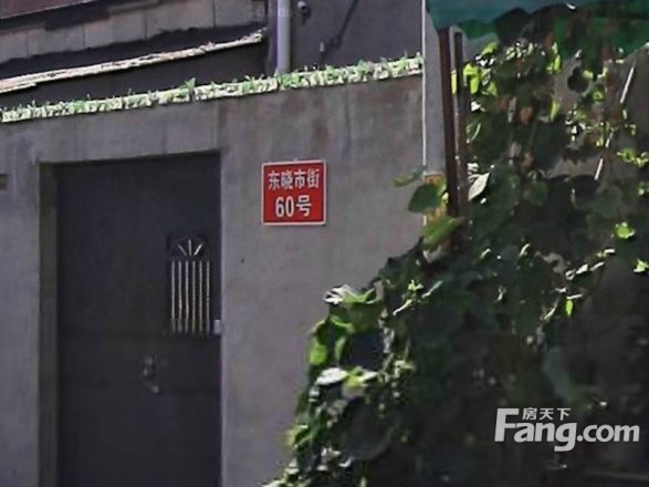 东晓市实景图