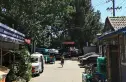 东晓市实景图