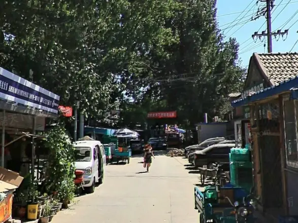 东晓市实景图