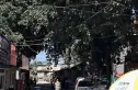 东晓市实景图