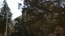 四惠·八里庄东里北巷·2室·1厅精装修,阳光视野好;南北通透