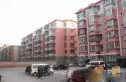 龙虎台实景图