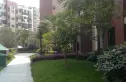 幸福大街小区实景图