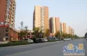 幸福大街小区实景图