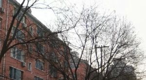 百万庄大街市委党校南门,电梯直达,精装双南两居
