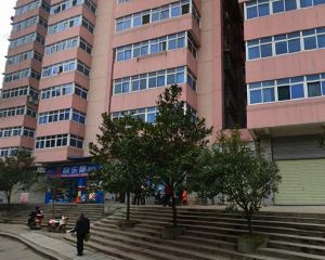 麓江春4室2厅南