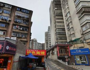 新楚麓山才苑3室2厅南