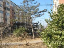 明春东园2室1厅南北