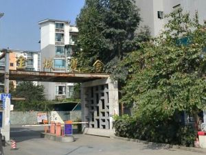金城丽舍3室2厅南