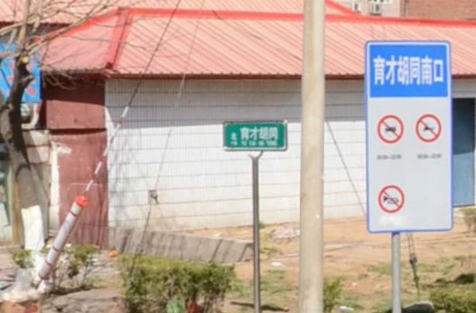 育才胡同实景图