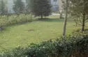 南菜园1号院实景图