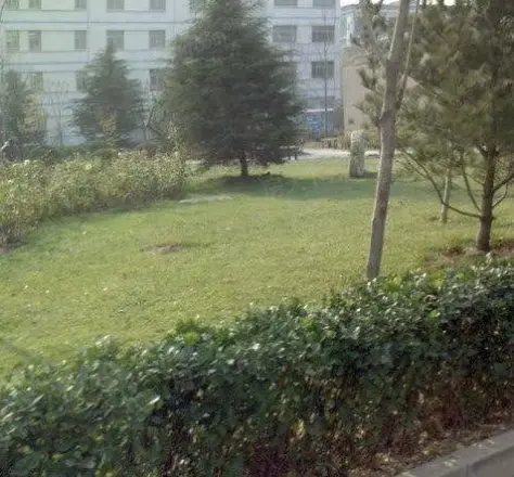 南菜园1号院实景图