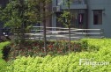 南菜园1号院实景图