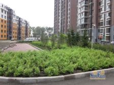 业主诚心出售,居住舒适。采光好,精装修,大明厅