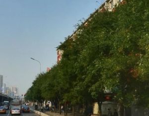 德外大街甲22号2室1厅东西