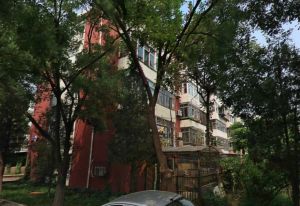 农学院家属院小区中间位置4层南北通透两居室,环境好