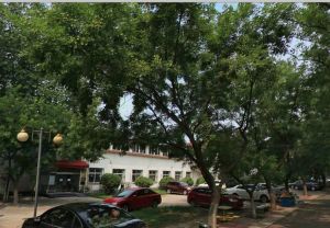 农学院小区中间位置5层南北通透两居室,安静环境好